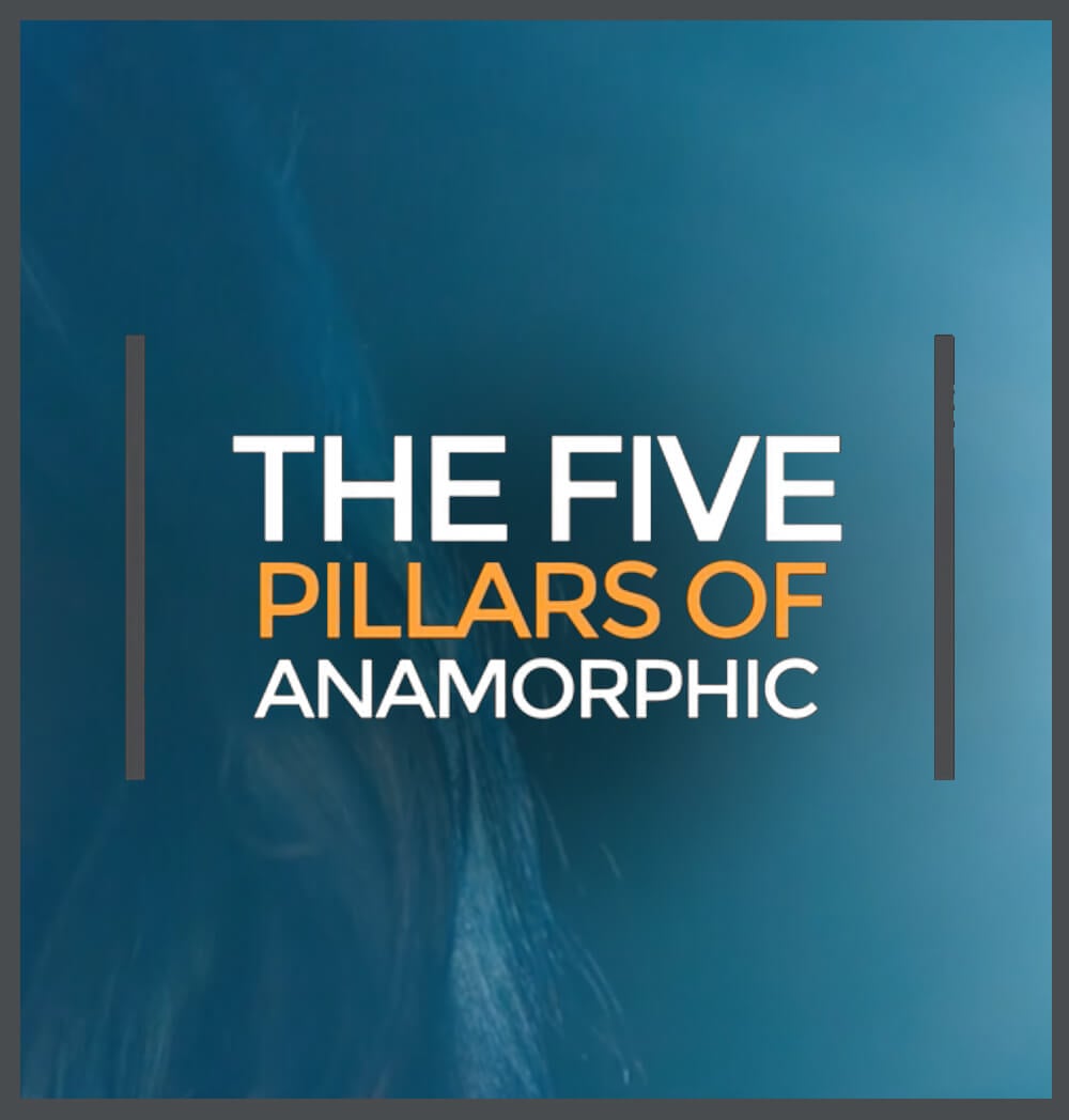 Les cinq piliers d'Anamorphique