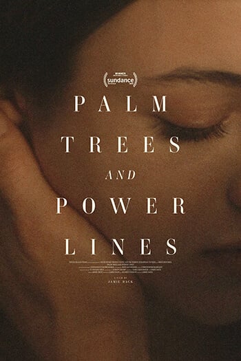 Palmiers et lignes électriques